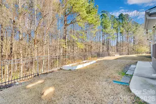 11715 Clems Branch Dr, Charlotte, NC 28277 - Photo 19