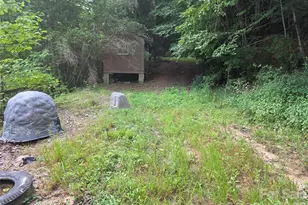 40 Gunches Dirt Rd, Candler, NC 28715 - Photo 19