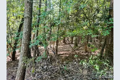 475 Old Little Mountain Road, Pisgah Forest, NC 28768 - Photo 3