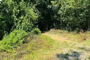 475 Old Little Mountain Rd, Pisgah Forest, NC 28768 - Photo 1