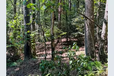 475 Old Little Mountain Road, Pisgah Forest, NC 28768 - Photo 5