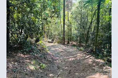 475 Old Little Mountain Road, Pisgah Forest, NC 28768 - Photo 11