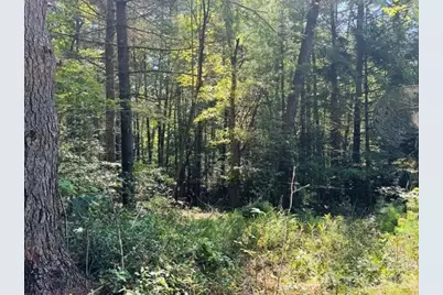 475 Old Little Mountain Road, Pisgah Forest, NC 28768 - Photo 21