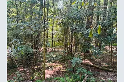 475 Old Little Mountain Road, Pisgah Forest, NC 28768 - Photo 9