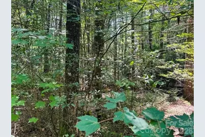 475 Old Little Mountain Road, Pisgah Forest, NC 28768 - Photo 17