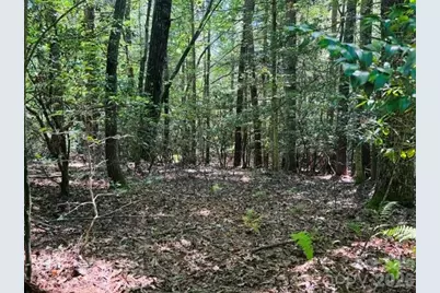 475 Old Little Mountain Road, Pisgah Forest, NC 28768 - Photo 19