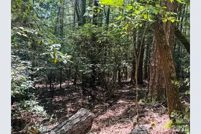 475 Old Little Mountain Road, Pisgah Forest, NC 28768 - Photo 15