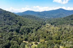 178 Shope Crk Rd, Asheville, NC 28805 - Photo 27
