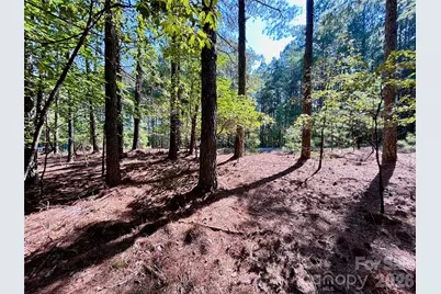 1461 Cordova Drive, Connelly Springs, NC 28612 - Photo 3