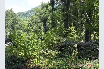 0 Rock Broad River Road #21, Hendersonville, NC 28792 - Photo 11
