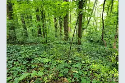 0 Rock Broad River Road #21, Hendersonville, NC 28792 - Photo 3