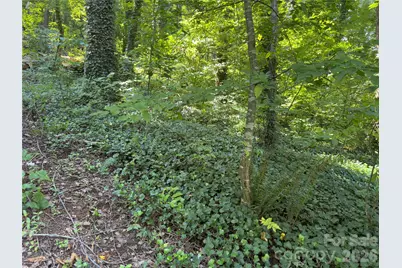 0 Rock Broad River Road #21, Hendersonville, NC 28792 - Photo 7