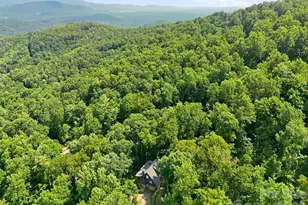291 Merrills Chase Rd, Asheville, NC 28803 - Photo 35
