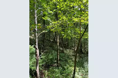 99999 Trillium End Lane #40, Waynesville, NC 28786 - Photo 3