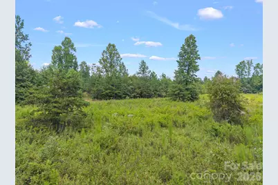 00 Chilly Bowl Road, Rutherfordton, NC 28139 - Photo 3
