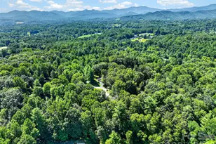 42 Timothy Ln, Candler, NC 28715 - Photo 47
