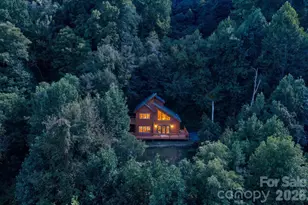 291 Appalachian Trail, Maggie Valley, NC 28751 - Photo 3
