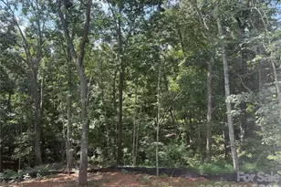 436 Dublin Ln, Columbus, NC 28722 - Photo 3