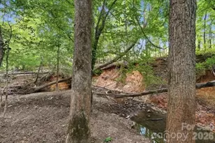 3545 Ernandez Rd, Richburg, SC 29729 - Photo 11