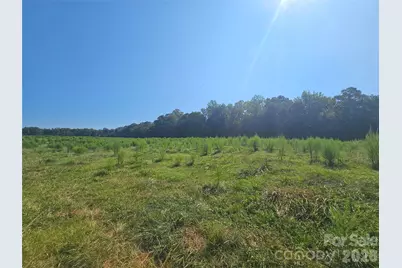 34.94+/- Acres Beaver Dam Church Road, Shelby, NC 28152 - Photo 9