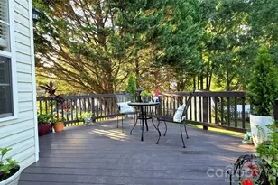 12424 Tantallon Ct, Pineville, NC 28134 - Photo 5