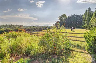 64 Greenridge Rd, Weaverville, NC 28787 - Photo 3