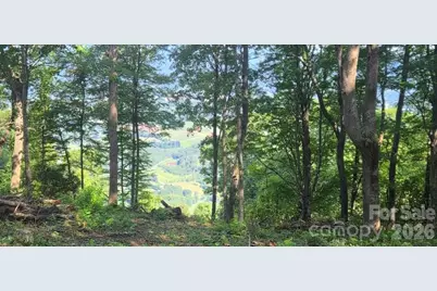 19 Estate Drive #40, Waynesville, NC 28786 - Photo 21