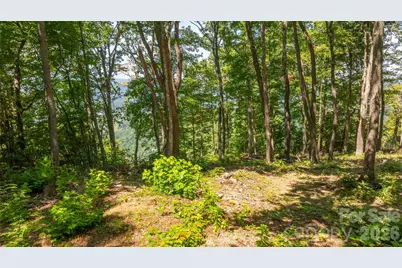 19 Estate Drive #40, Waynesville, NC 28786 - Photo 11