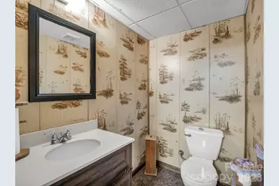 111 Buckeye Road, Lake Lure, NC 28746 - Photo 29