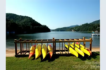 111 Buckeye Road, Lake Lure, NC 28746 - Photo 47