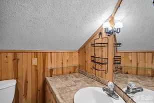 111 Buckeye Rd, Lake Lure, NC 28746 - Photo 25