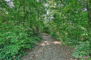 1538 Sterling Rd, Charlotte, NC 28209 - Photo 11