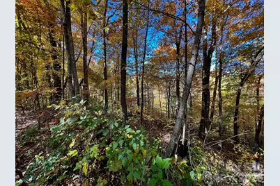 0000 Hemphill Road #3, Waynesville, NC 28785 - Photo 9