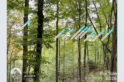 0000 Hemphill Road #3, Waynesville, NC 28785 - Photo 17