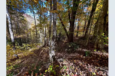 0000 Hemphill Road #3, Waynesville, NC 28785 - Photo 5