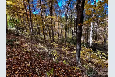 0000 Hemphill Road #3, Waynesville, NC 28785 - Photo 7