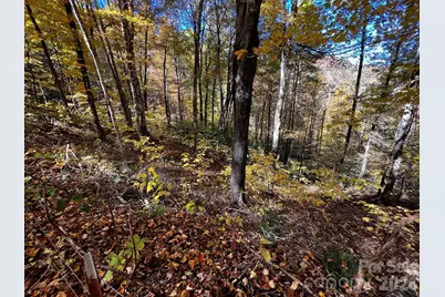 0000 Hemphill Road #3, Waynesville, NC 28785 - Photo 3