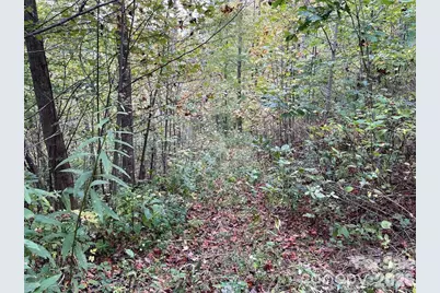 0000 Hemphill Road #3, Waynesville, NC 28785 - Photo 15