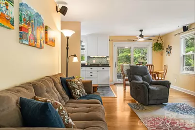 49 White Pine Drive, Asheville, NC 28805 - Photo 9