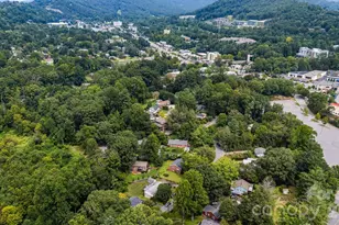 49 White Pine Dr, Asheville, NC 28805 - Photo 47