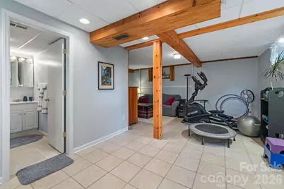 49 White Pine Drive, Asheville, NC 28805 - Photo 33