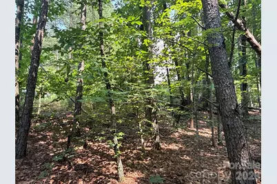 242 Golden Creek Ridge, Union Mills, NC 28167 - Photo 3