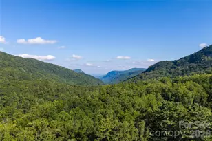 95 Chestnut Hill Loop Rd, Gerton, NC 28735 - Photo 11