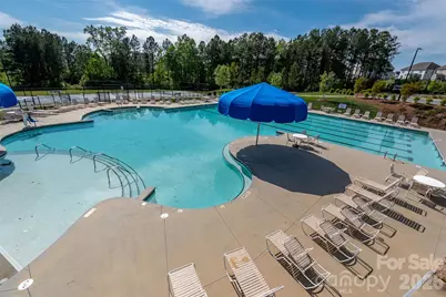 4312 Plumeria Way, Indian Land, SC 29707 - Photo 43