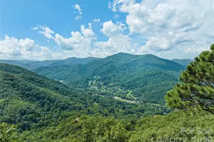 463 Walela Trail, Maggie Valley, NC 28751 - Photo 11