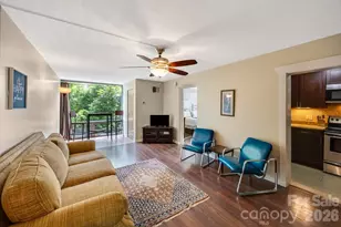 647 Town Mountain Rd, Asheville, NC 28804 - Photo 3