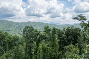 647 Town Mountain Rd, Asheville, NC 28804 - Photo 19