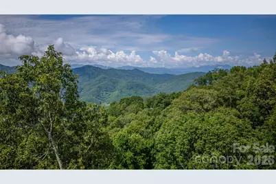 241 Golden Hawk Drive #85, Bryson City, NC 28713 - Photo 3