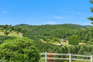 450 Nc Hwy 88 None E, Jefferson, NC 28640 - Photo 9