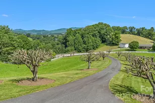450 Nc Hwy 88 None E, Jefferson, NC 28640 - Photo 3